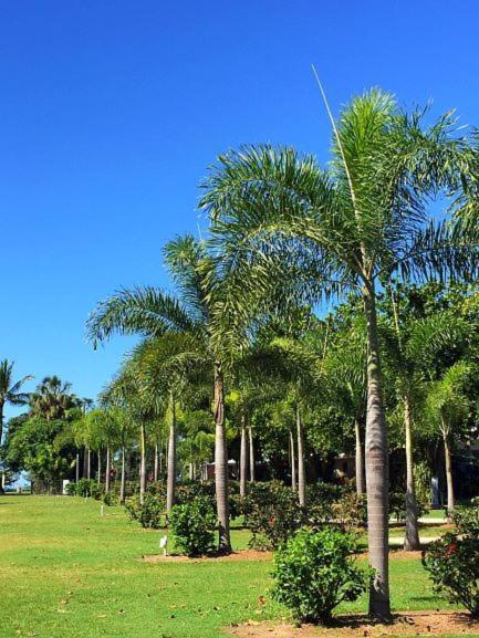 Dunk Island View Caravan Park Hotel Wongaling Beach Buitenkant foto