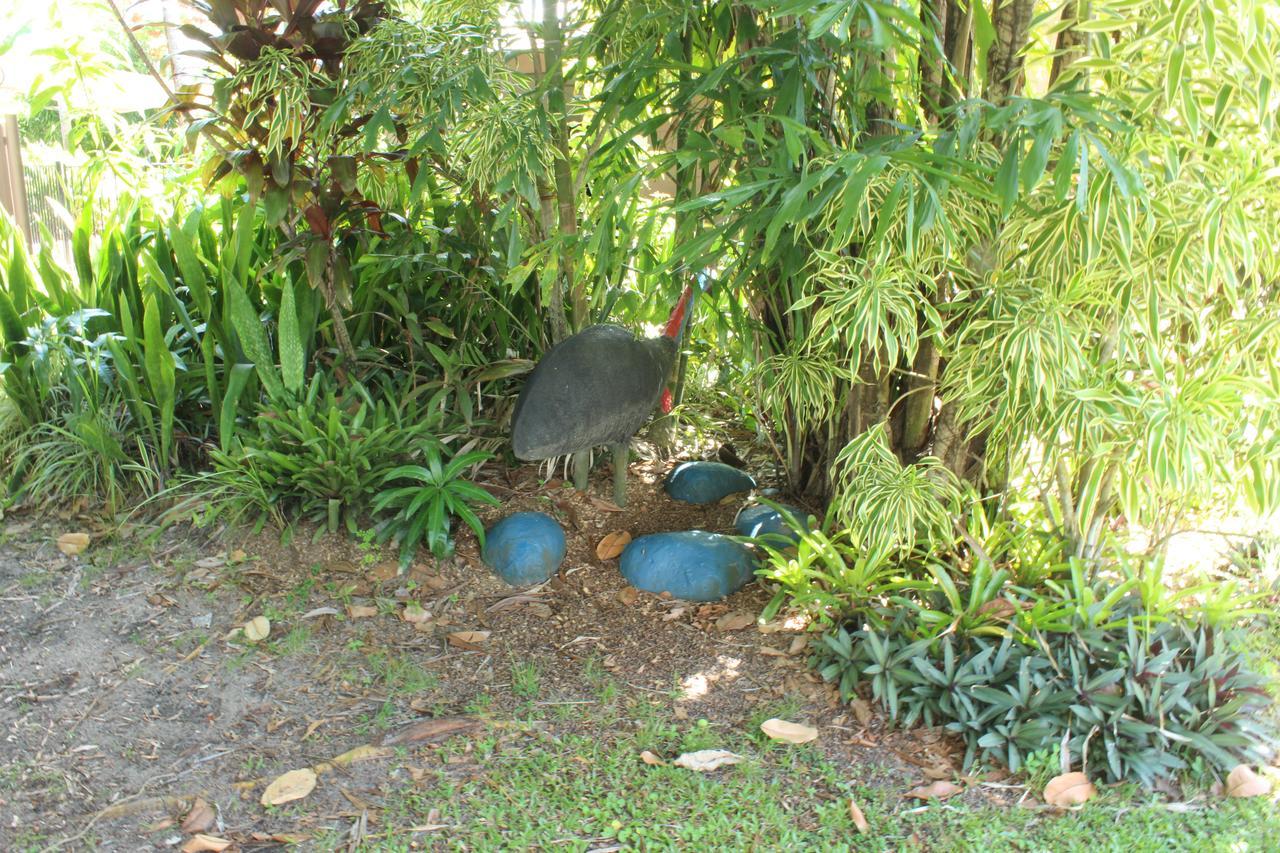 Dunk Island View Caravan Park Wongaling Beach Buitenkant foto