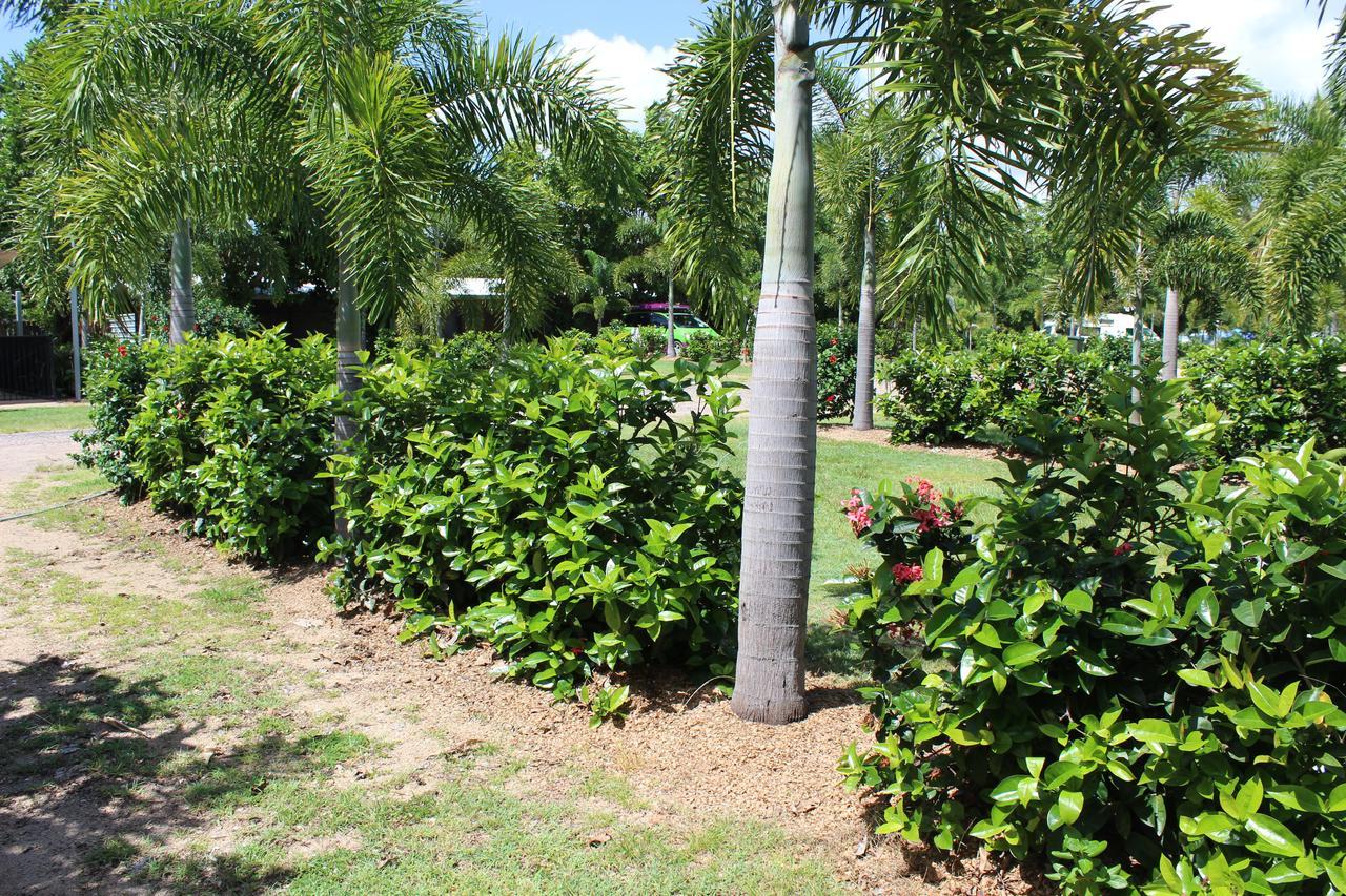 Dunk Island View Caravan Park Hotel Wongaling Beach Buitenkant foto